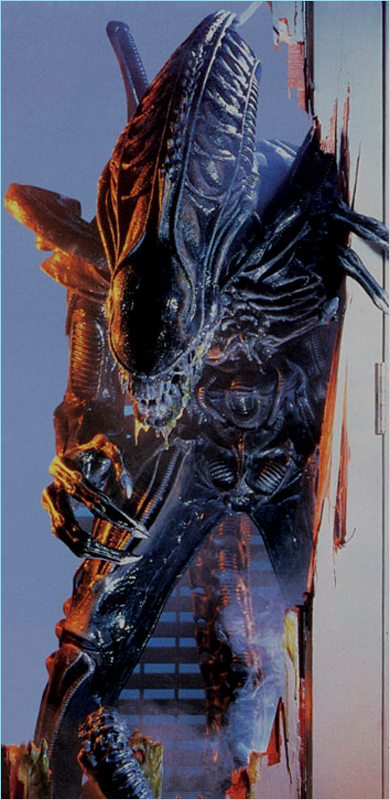 alien xenomorph warrior