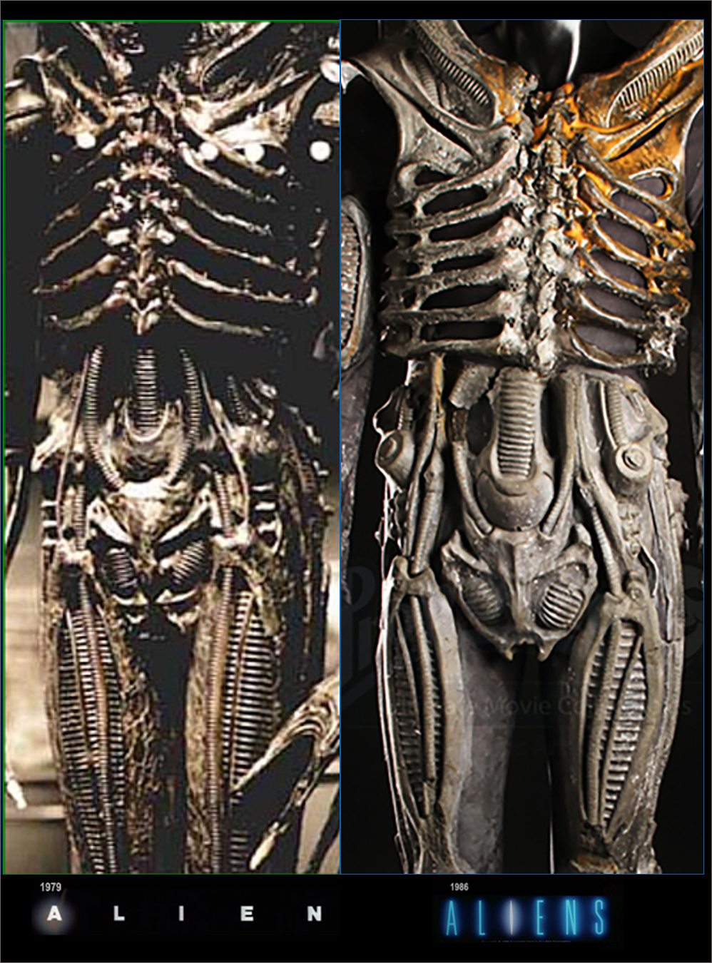 Alien Warrior